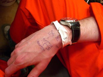 Essential business figures on the back of Tom's hand.