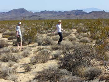 Lost in the desert...