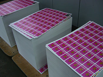 That's a lot of cards. We've just got to cut them out now.