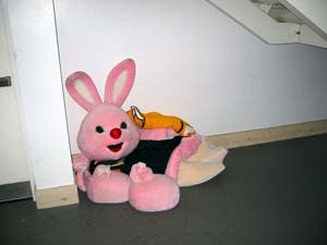 We took this photo mainly because the site of a discarded Duracel Bunny outfit made us so sad.