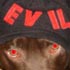 thumbnail image: Best EVIL pet - click to enlarge