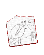 A secret message
