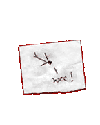 A secret message
