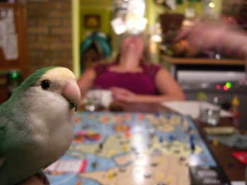 'What's that, BamBam? Kill them <strong>all</strong>?' - the hidden electrics in Jenn's chair are activated instantly.