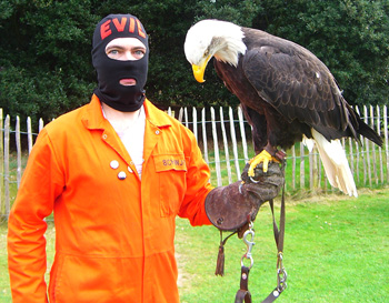 For once, America isn't that interested in EVIL