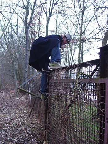 Like a spring gazelle - over the fence