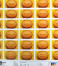 Image for The Hen Commandments final checks